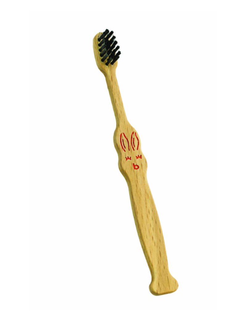 Brosses à dents Totoro