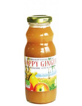 HAPPY GINGER 20cl