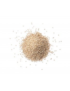 QUINOA BELGE