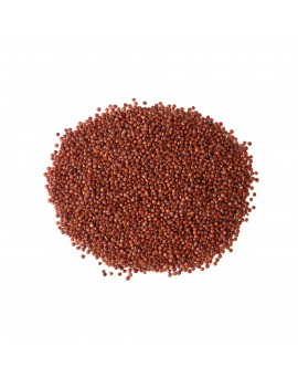 QUINOA ROUGE BELGE