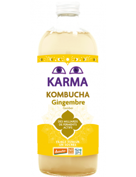 Kombucha gingembre (1 L)