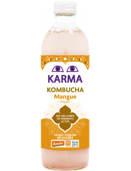 Mango Kombucha (50 cl)