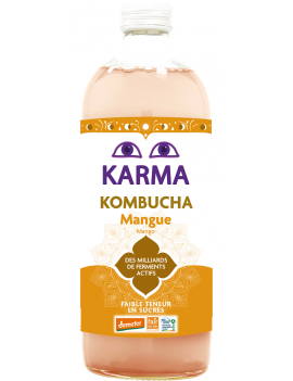 Mango Kombucha (1 L)