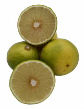 Citron bergamotte (6...