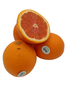 Orange sanguines...