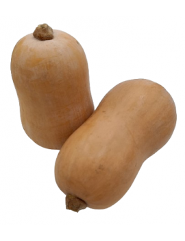 Courge Butternut (12...