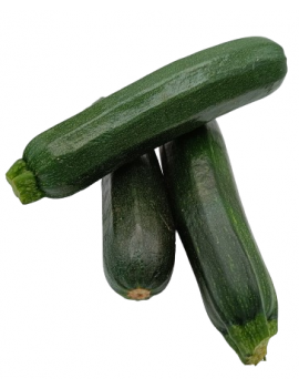 Courgette calibre...