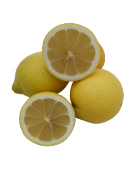 Citron primofiore (6...