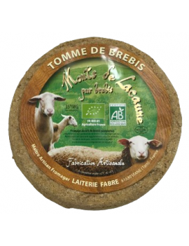 Tomme de brebis des...