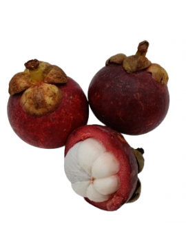 Mangosteen (2 kg) -...