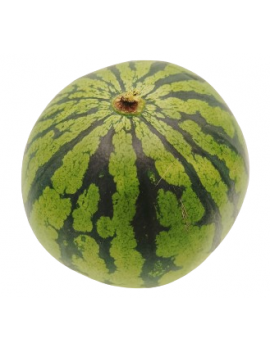Watermeloen mini (11...