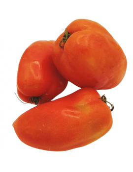 Andes heirloom tomaat...