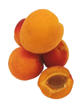 Abricot à confiture (5...