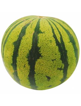 Gele watermeloen (20...