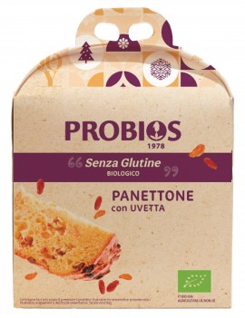 PANETTONE GLUTENVRIJ