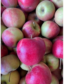 Pomme Elstar (12 kg) -...