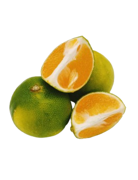 Mandarijn Satsuma (6...