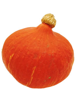 Pompoenen (10 kg) -...