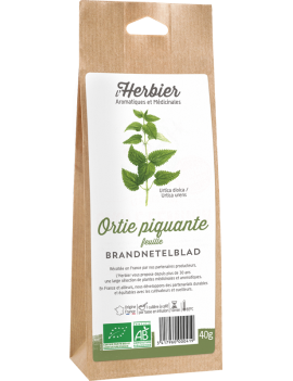 ORTIE PIQUANTE FEUILLES