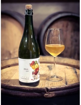 Cider Brut