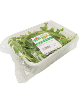 Roquette (1 pc - 100...