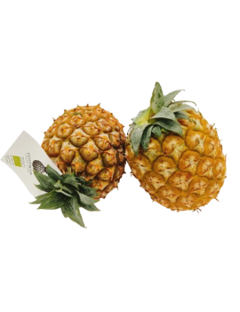 Ananas des Açores (5...