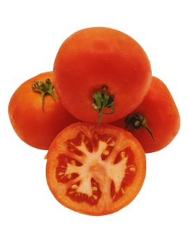 Tomate ronde (6 kg) -...