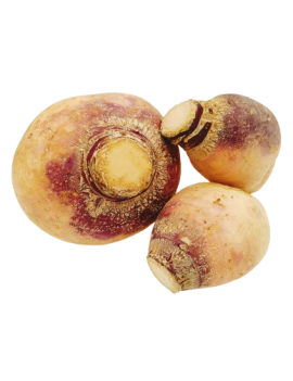 Rutabaga (5 kg) -...