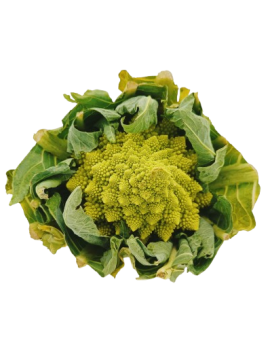 Chou Romanesco (8 kg)...