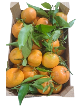 Clementines  houten...