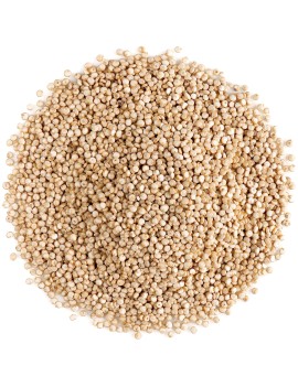 QUINOA (PEROU)