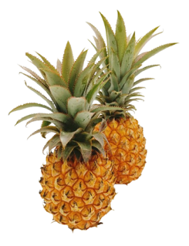 Ananas Victoria (5 kg)...