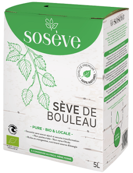 Sève de bouleau...