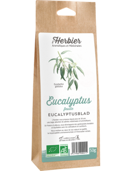 EUCALYPTUS FEUILLES