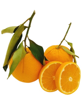 Sinaasappelblad Navel...