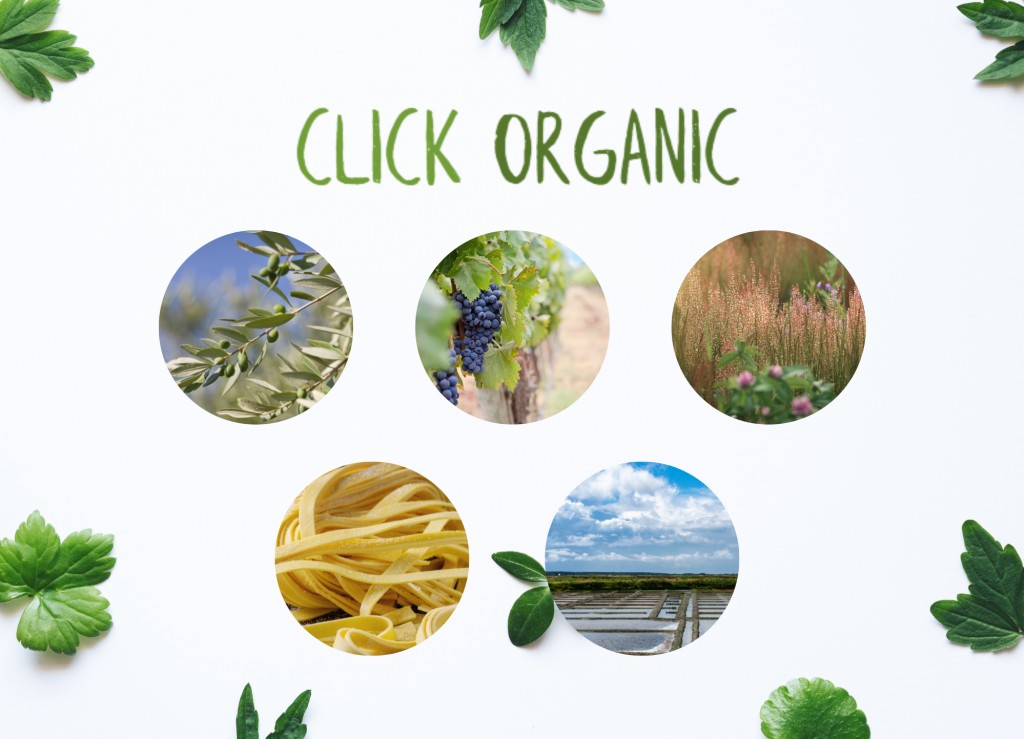 Les marques du distributeur Click Organic passent chez Vajra 